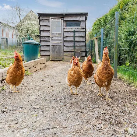 Feriehus Cozy With Garden *